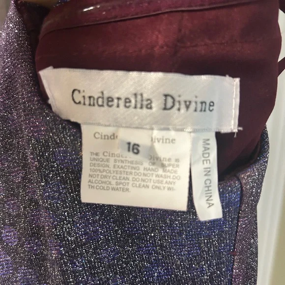 Cinderella Sparkling Purple Dress - Picture 12 of 12